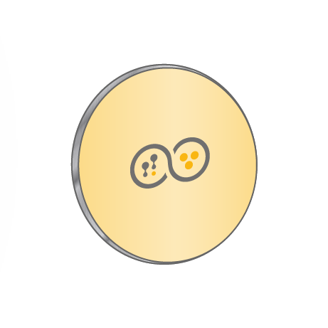 unbeleuchtet